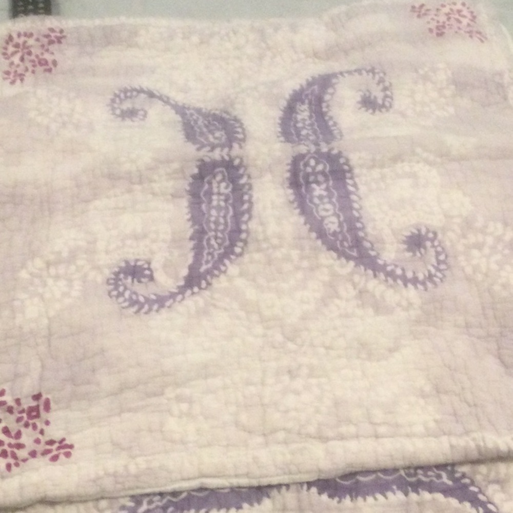 Anthropologie euro sham pair, EUC